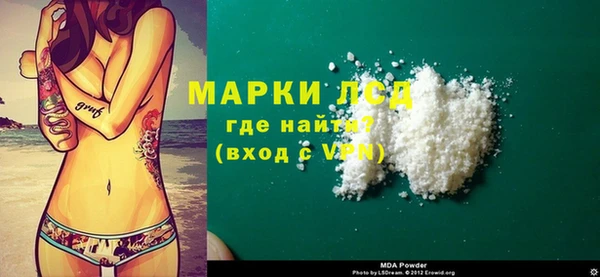прущие грибы Арсеньев