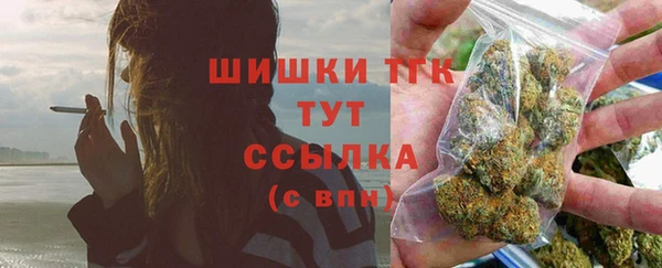 прущие грибы Арсеньев